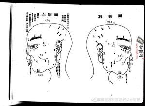 虎耳面相|虎耳面相图解